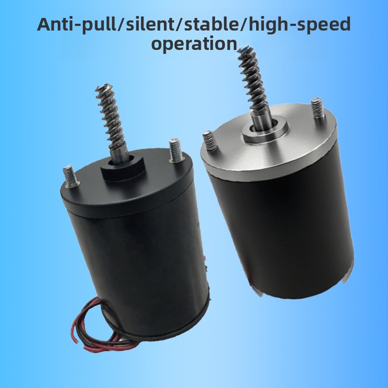 Anti Pull Crane Motor 24V 48V  - Crane Claw Motor ulasan dan harga