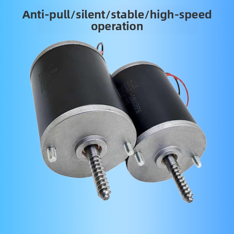 Anti Pull Crane Motor 24V 48V  - Crane Claw Motor ulasan dan harga