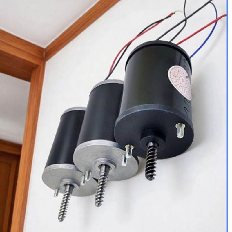 Anti Pull Crane Motor 24V 48V  - Crane Claw Motor ulasan dan harga